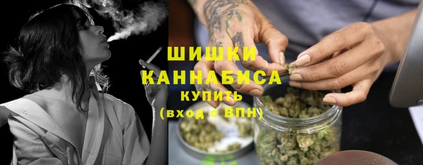 Альфа ПВП Ельня