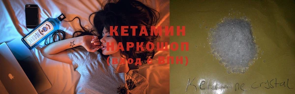 шишки Дмитриев