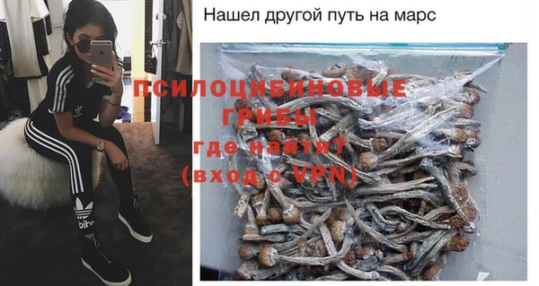 амф Елизово