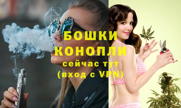 соль ск Елабуга