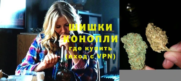 Альфа ПВП Ельня