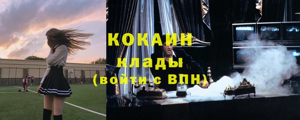 Альфа ПВП Ельня