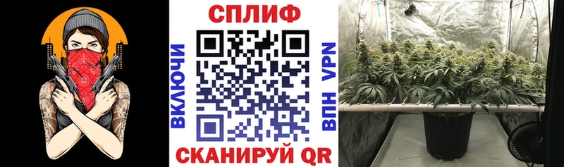 Бошки марихуана семена  Волгодонск 